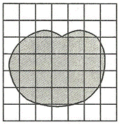 2013年黑龙江省大庆市中考理综(物理)真题试卷附答案