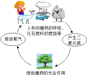 2013年湖南省邵阳市中考化学真题试卷附答案
