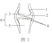 2014年山东滨州中考生物真题附答案