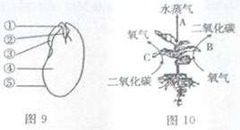 2014年山东滨州中考生物真题附答案