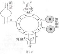 2014年山东滨州中考生物真题附答案