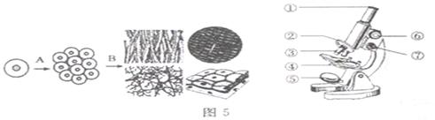 2014年山东滨州中考生物真题附答案