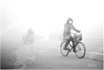 2013年山东省德州市中考物理真题试卷附答案
