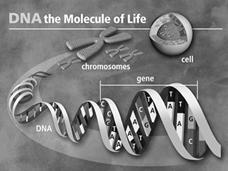 2012年山东省威海市中考英语真题试卷