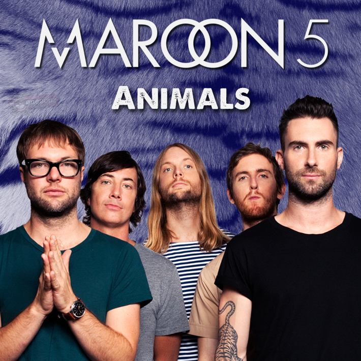 流行高清MV:Maroon 5 - Animals_英文歌曲