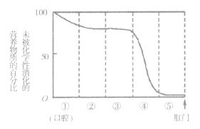 2013年山东日照中考生物真题