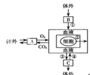 1412922368462217.png 2013年广东梅州中考生物真题附答案
