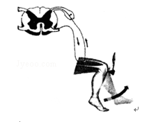 1412922593371157.png 2013年广东梅州中考生物真题附答案