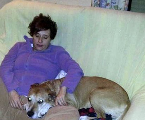 Dogs of Ebola patients in Spain were euthanized.jpg