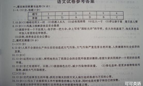 2013年浙江省丽水市中考语文真题试卷附答案