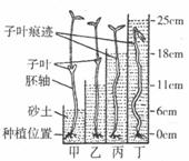 2013年浙江宁波中考生物真题附答案
