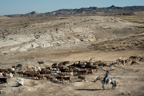 Drought in the Altai grassland threatens the Kazakh herdsmen.jpg