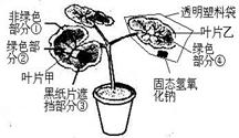 2013年湖北荆州中考生物真题附答案