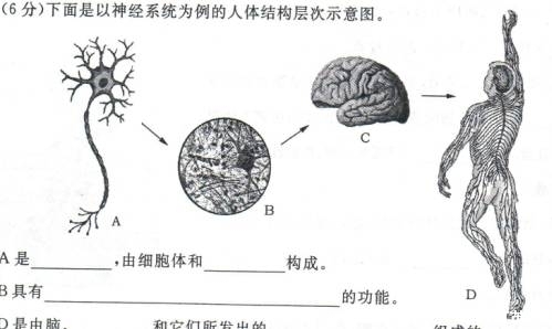 2013年山东烟台中考生物真题