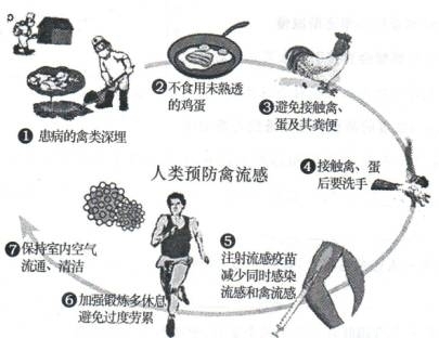 2013年山东烟台中考生物真题