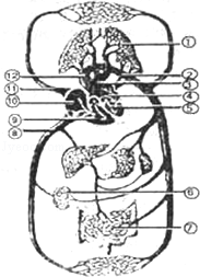 1415093032921424.png 2013年辽宁锦州中考生物真题附答案