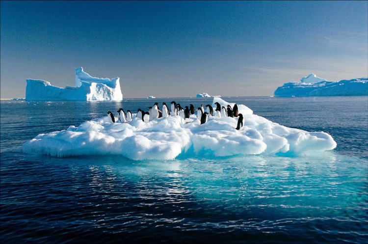 A study by the United Nations has shown that reducing emissions will not affect the growth .jpg