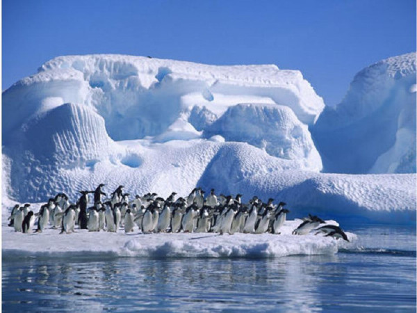 Due to China and Russia’s boycott of the Antarctic Marine Reserve Plan .jpg