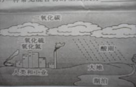 2012年山东省济宁市中考化学真题试卷附答案