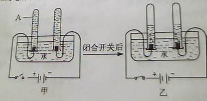 2012年重庆市中考化学真题试卷附答案