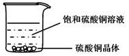 2012年上海市中考化学真题试卷附答案