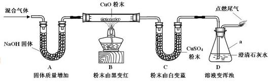 2012年上海市中考化学真题试卷附答案