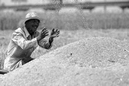 Let's feed the world and fill the stomachs of 9 billion people is not a problem.jpg