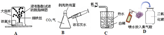 2012年甘肃省张掖市中考化学真题试卷附答案