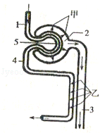 2013年山东枣庄中考生物真题附答案