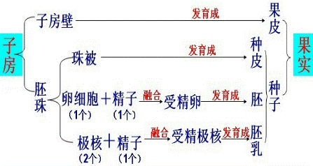 2013年湖南省常德中考生物真题附答案