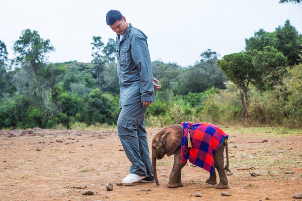 Can Yao Ming let the Chinese let go of African ivory.jpg