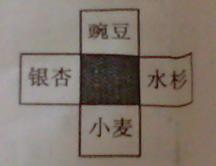 1417499804332335.jpg 2013年江西赣州中考生物真题附答案
