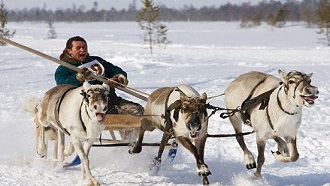 Santa style Russia uses reindeer as a police car.jpg