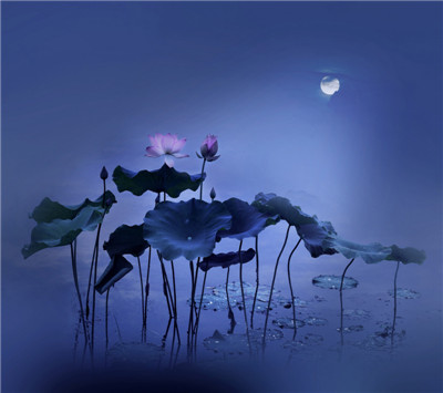 朱自清《荷塘月色Moonlight over the Lotus Pond》2.jpg