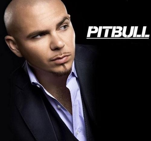 Download Hit English Songs Of Pitbull Rain