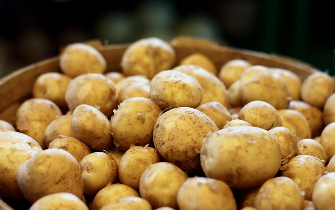 白土豆回归专家称土豆不是有营养的废柴.png