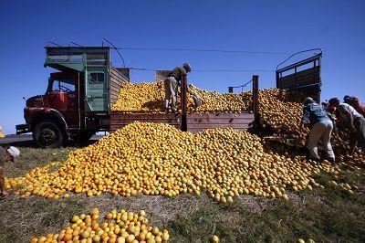 China’s bulk agricultural product inventory reaches a historical high.jpg