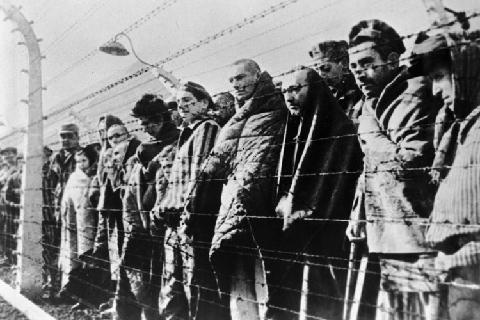The Serbs and Croats of the International Court of Justice have not committed the crime of genocide.jpg