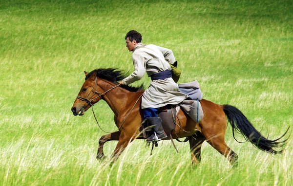 "Wolf Totem" directed by the banned film director is surprising.jpg
