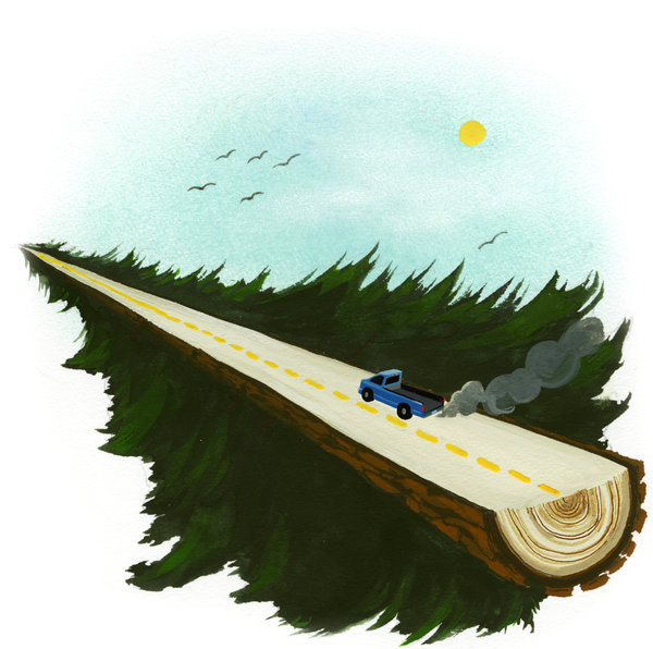Who should be responsible for the destruction of nature.jpg
