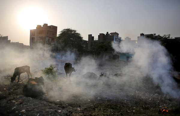 The Indian government reviews real-time air pollution data.jpg