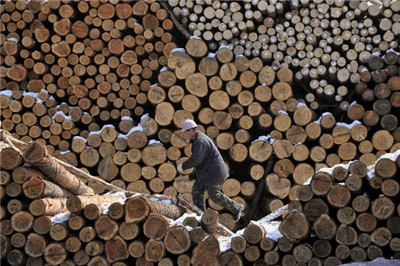 The State Council of China announced plans to reduce deforestation.jpg