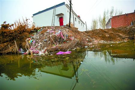 河北省白洋淀水质重度污染.jpg