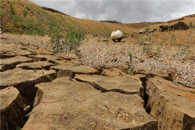 Will the drought end California’s prosperity?.jpg