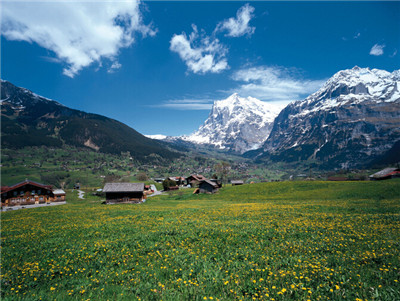 Germany, Europe's largest green country in the future.jpg