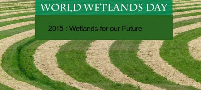 World Wetlands Day.jpg