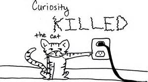 Curiosity killed the cat.jpg