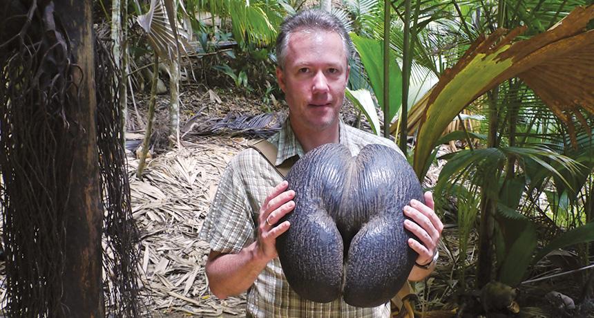 The world’s largest seed.jpg