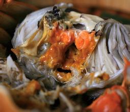 Is crab roe harmful to health? New York City prohibits Chinese from eating .jpg