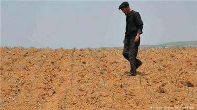 朝鲜面临百年来最严重的旱灾_时事新闻_双语